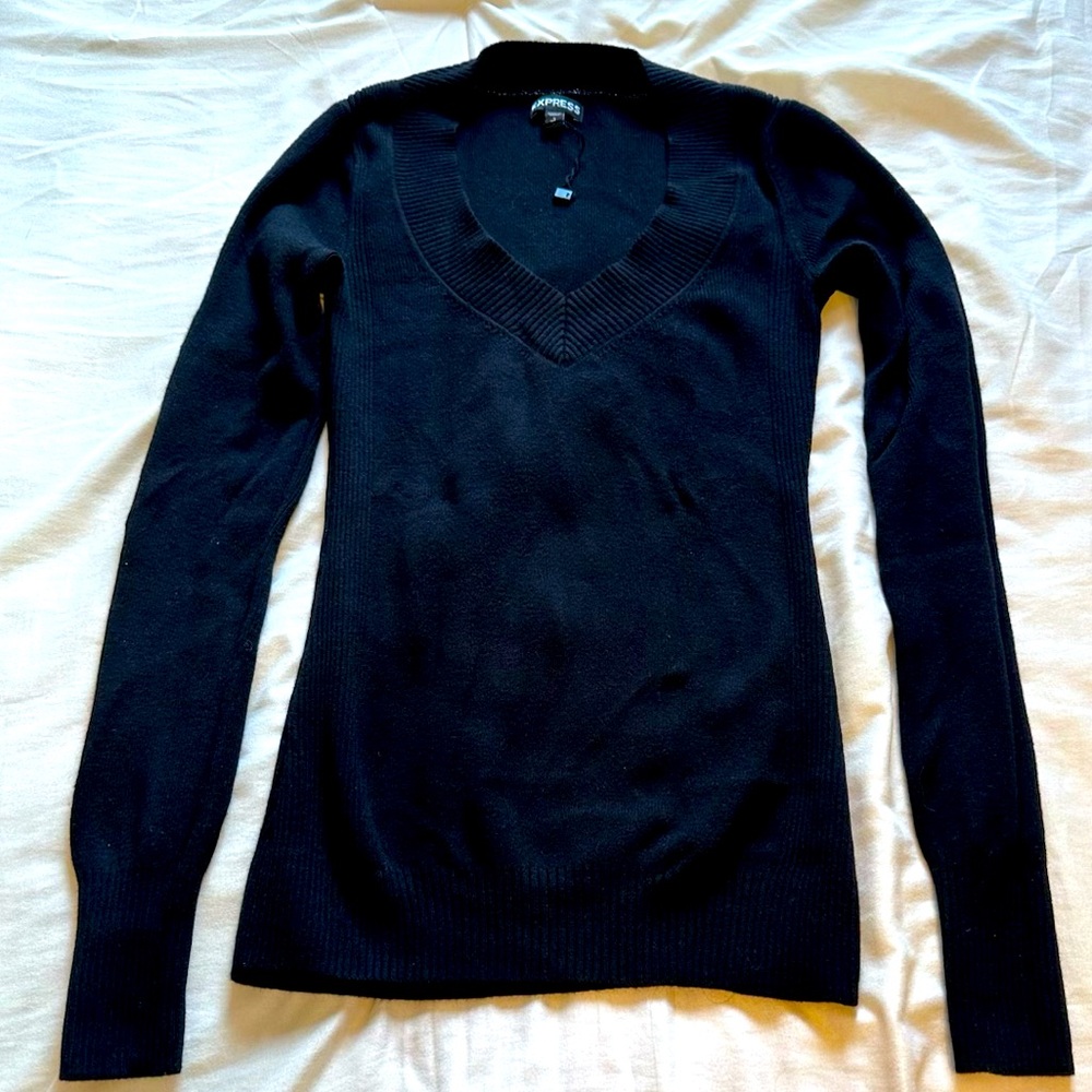 Express Deep V-Neck long sleeve fitted sweater black Size S